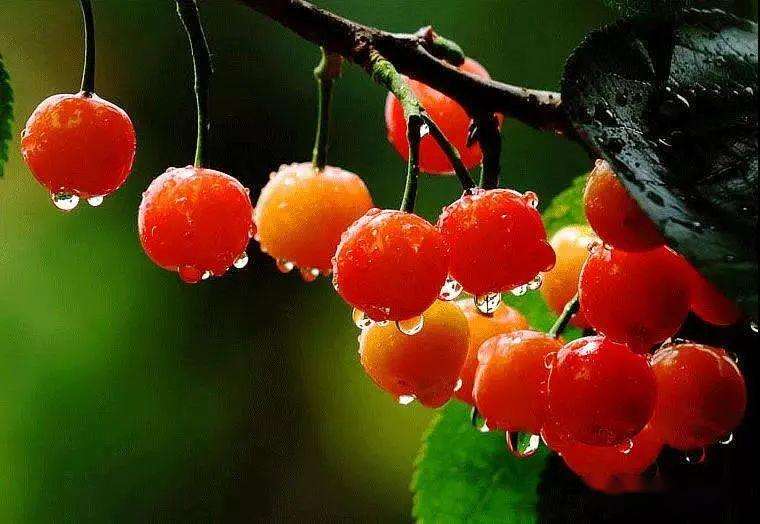 上?？婆d儀器